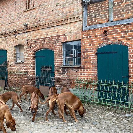 Bauernhof-Streichel-Zoo-Kombi-Familien-Suite-Im-Wald-Am-See Gulow Ngoại thất bức ảnh