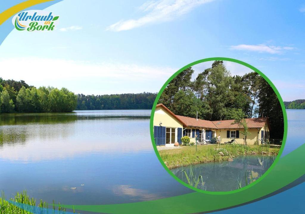 Bauernhof-Streichel-Zoo-Kombi-Familien-Suite-Im-Wald-Am-See Gulow Ngoại thất bức ảnh